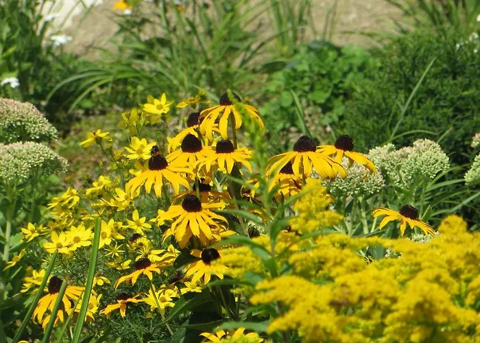 Apartamento Haus Simon *