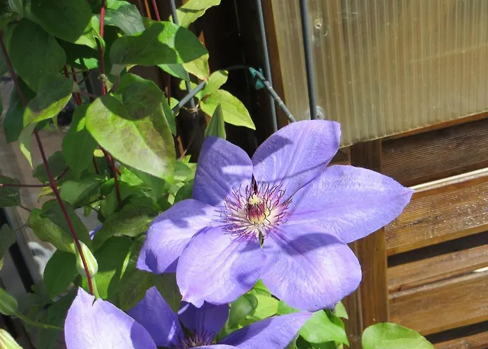 Haus Simon Apartamento Blankenrath